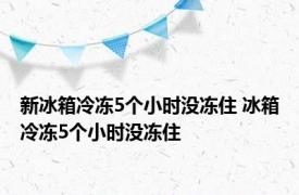 新冰箱冷冻5个小时没冻住 冰箱冷冻5个小时没冻住 