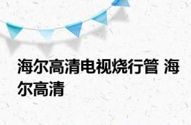 海尔高清电视烧行管 海尔高清 