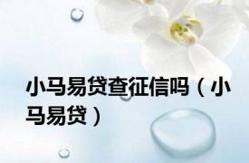 小马易贷查征信吗（小马易贷）