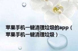 苹果手机一键清理垃圾的app（苹果手机一键清理垃圾）