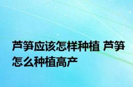 芦笋应该怎样种植 芦笋怎么种植高产