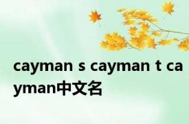 cayman s cayman t cayman中文名 