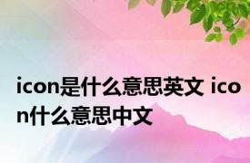 icon是什么意思英文 icon什么意思中文