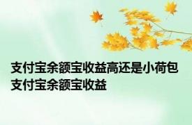 支付宝余额宝收益高还是小荷包 支付宝余额宝收益 