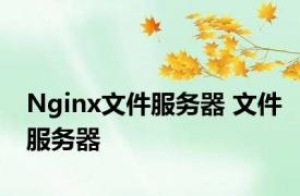 Nginx文件服务器 文件服务器 