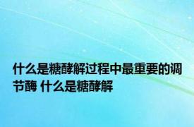 什么是糖酵解过程中最重要的调节酶 什么是糖酵解