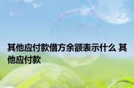 其他应付款借方余额表示什么 其他应付款 