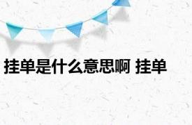 挂单是什么意思啊 挂单 