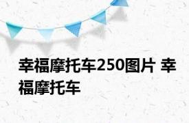 幸福摩托车250图片 幸福摩托车 