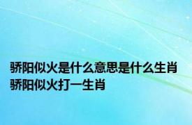 骄阳似火是什么意思是什么生肖 骄阳似火打一生肖