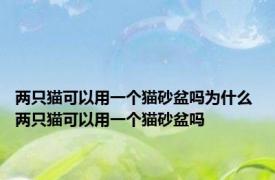 两只猫可以用一个猫砂盆吗为什么 两只猫可以用一个猫砂盆吗