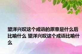 望洋兴叹这个成语的原意是什么后比喻什么 望洋兴叹这个成语比喻什么