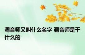 调音师又叫什么名字 调音师是干什么的 