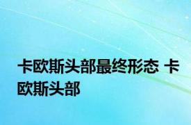 卡欧斯头部最终形态 卡欧斯头部 