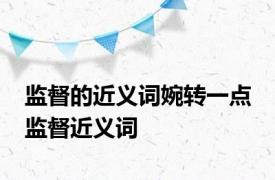 监督的近义词婉转一点 监督近义词 