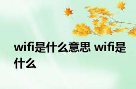 wifi是什么意思 wifi是什么 