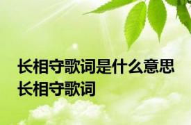 长相守歌词是什么意思 长相守歌词 