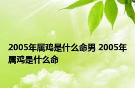 2005年属鸡是什么命男 2005年属鸡是什么命