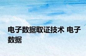 电子数据取证技术 电子数据 