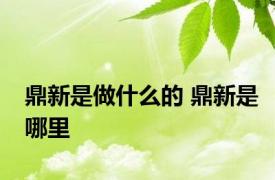 鼎新是做什么的 鼎新是哪里