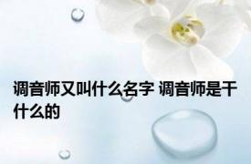 调音师又叫什么名字 调音师是干什么的 