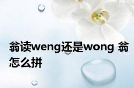 翁读weng还是wong 翁怎么拼 