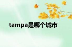 tampa是哪个城市