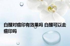 白醋对痘印有效果吗 白醋可以去痘印吗 