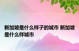 新加坡是什么样子的城市 新加坡是什么样城市