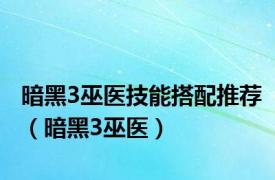 暗黑3巫医技能搭配推荐（暗黑3巫医）