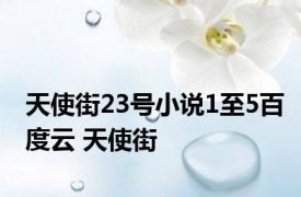 天使街23号小说1至5百度云 天使街 