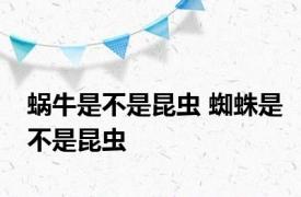 蜗牛是不是昆虫 蜘蛛是不是昆虫