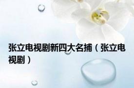 张立电视剧新四大名捕（张立电视剧）