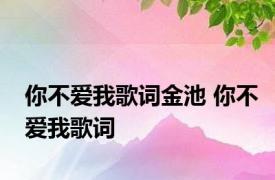 你不爱我歌词金池 你不爱我歌词 