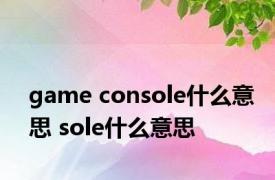 game console什么意思 sole什么意思 