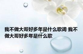 我不做大哥好多年是什么歌词 我不做大哥好多年是什么歌 