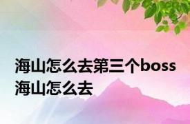 海山怎么去第三个boss 海山怎么去 