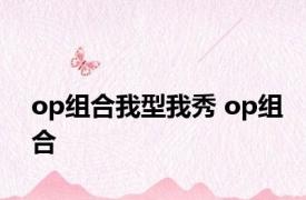 op组合我型我秀 op组合 