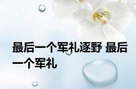 最后一个军礼逐野 最后一个军礼 