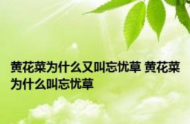 黄花菜为什么又叫忘忧草 黄花菜为什么叫忘忧草