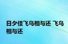 日夕佳飞鸟相与还 飞鸟相与还 