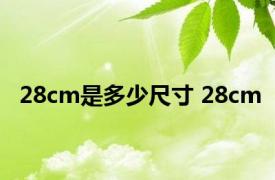 28cm是多少尺寸 28cm 