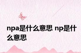 npa是什么意思 np是什么意思 