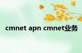 cmnet apn cmnet业务 