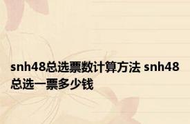 snh48总选票数计算方法 snh48总选一票多少钱 