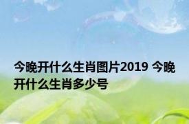 今晚开什么生肖图片2019 今晚开什么生肖多少号 