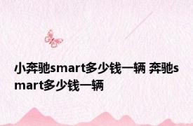 小奔驰smart多少钱一辆 奔驰smart多少钱一辆 