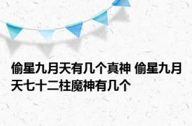 偷星九月天有几个真神 偷星九月天七十二柱魔神有几个