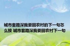 城市套路深我要回农村的下一句怎么接 城市套路深我要回农村下一句