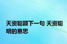 天资聪颖下一句 天资聪明的意思 